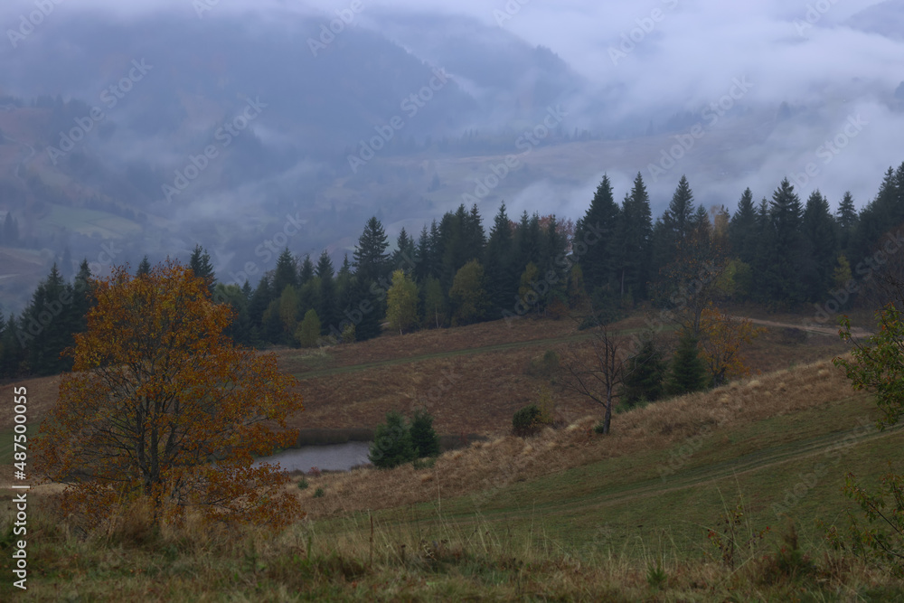 Beautiful view of mountains covered with fog