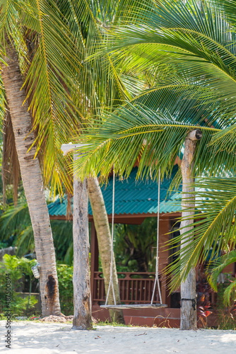 Swing hang from tropical tree over sand beach in garden, island Koh Phangan, Thailand © OlegD