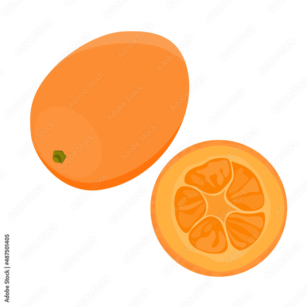 Cumquat or kumquat fruit isolated Cumquat or kumquat fruit isolated