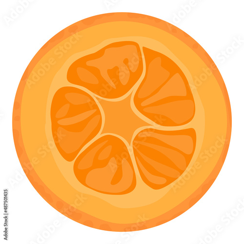 Cumquat or kumquat fruit isolated
