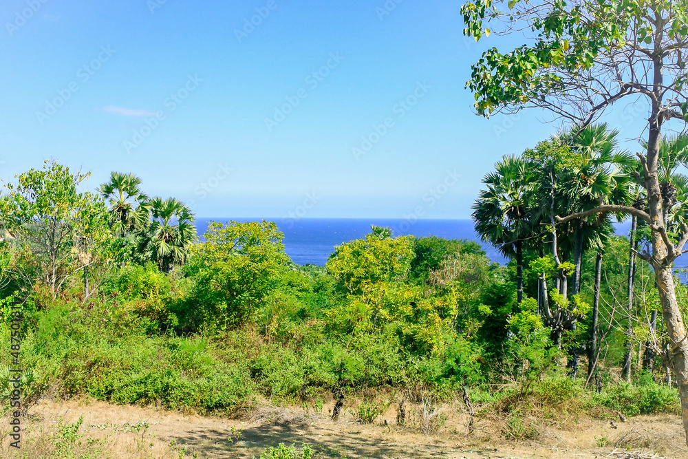very dense scrub forest and the sea as the horizon line
