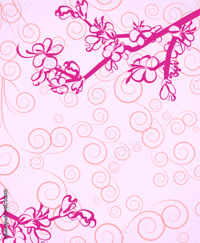 pink background with flowers hand draw