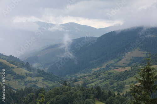 mountains in the fog