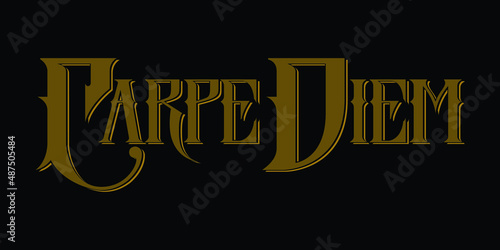 Carpe Diem. Typography logo design emblem.  Digital hand lettering logo illustration.