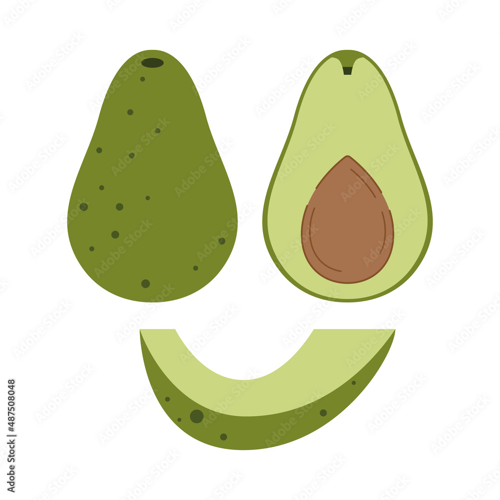 Fototapeta premium Avocado organic product. Set of a vector vegetable from a cut across and a separate slice. Geometric isolated illustration on white background.