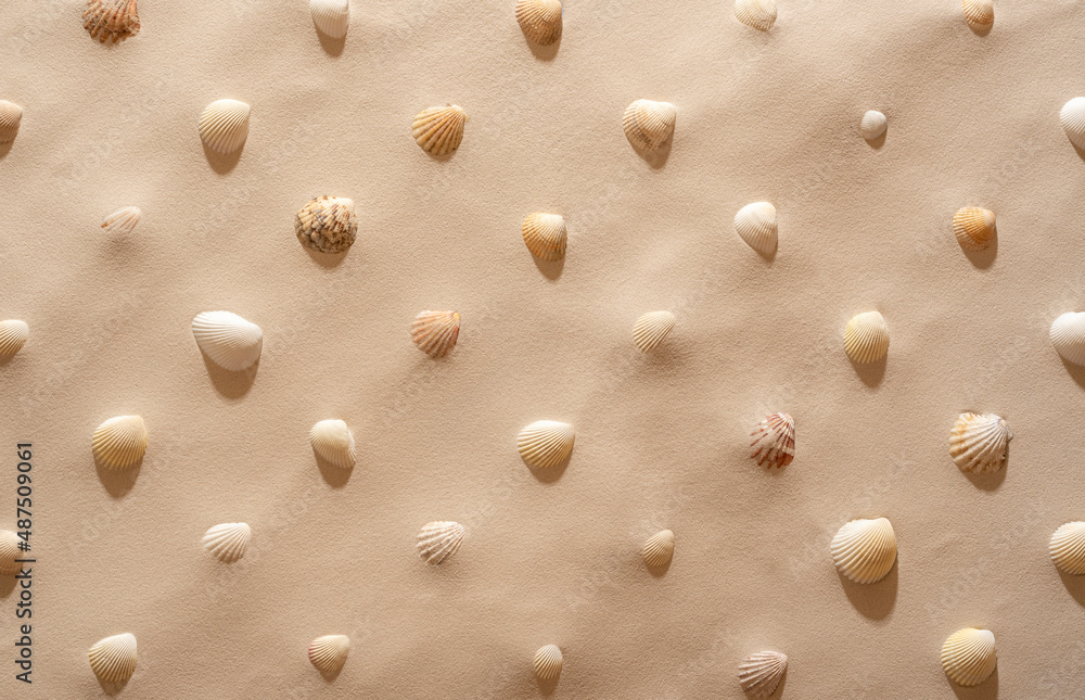 Summer background with shells and sand. Summer vacation concept.