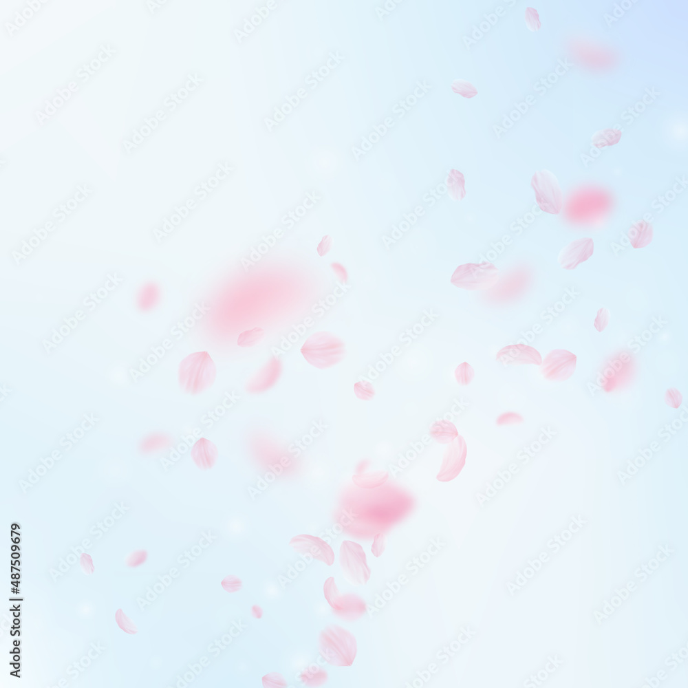 Sakura petals falling down. Romantic pink flowers corner. Flying petals on blue sky square background. Love, romance concept. Trending wedding invitation.