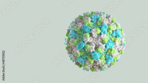 3D graphical representation of a single Norovirus virion. The different colors represent different regions of the organism's outer protein shell, or capsid. 3D animation photo