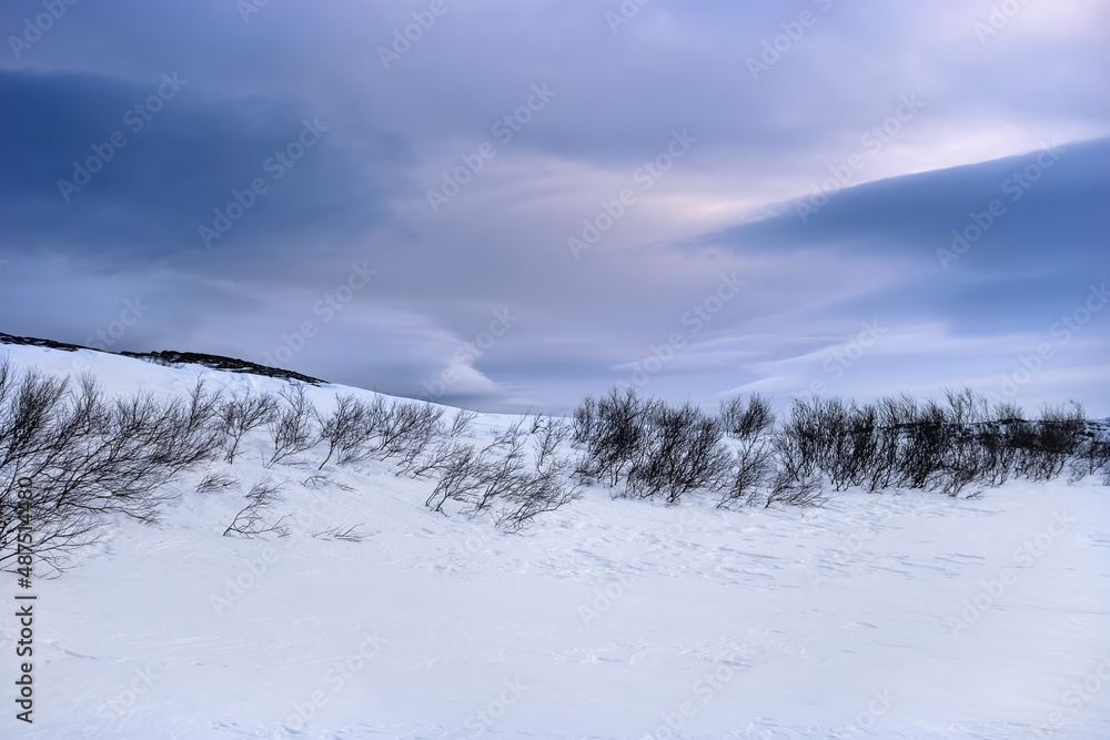 The coast of the Barents Sea at the end of February. The coast of the Barents Sea at the end of February.