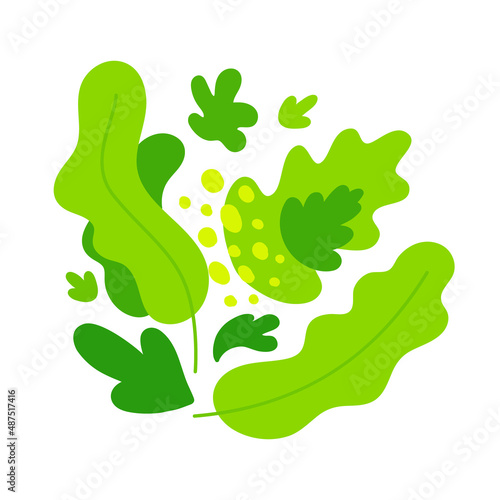 Composition of abstract salad greens. Vector flat color illustration isolatd on white.