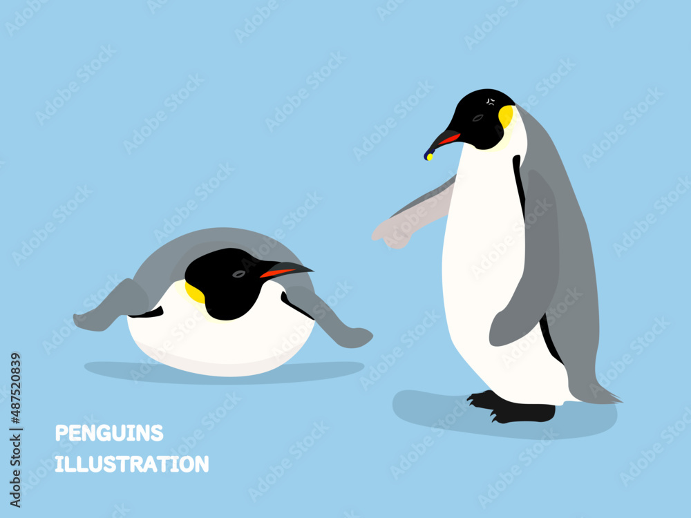 Obraz premium attention (penguins illustration)