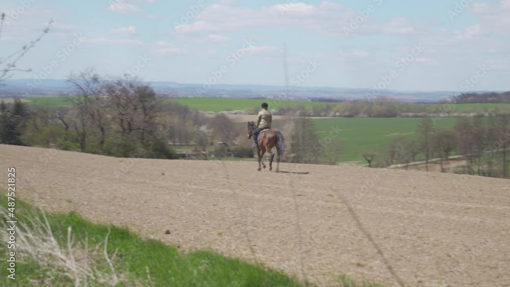 young woman rides a horse in the wild young woman rides a horse in the wild