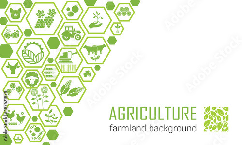 Banner of farm icons. Agricultural template of a leaflet, booklet with emblems of the branches of agriculture, crop production, animal husbandry and agricultural machinery