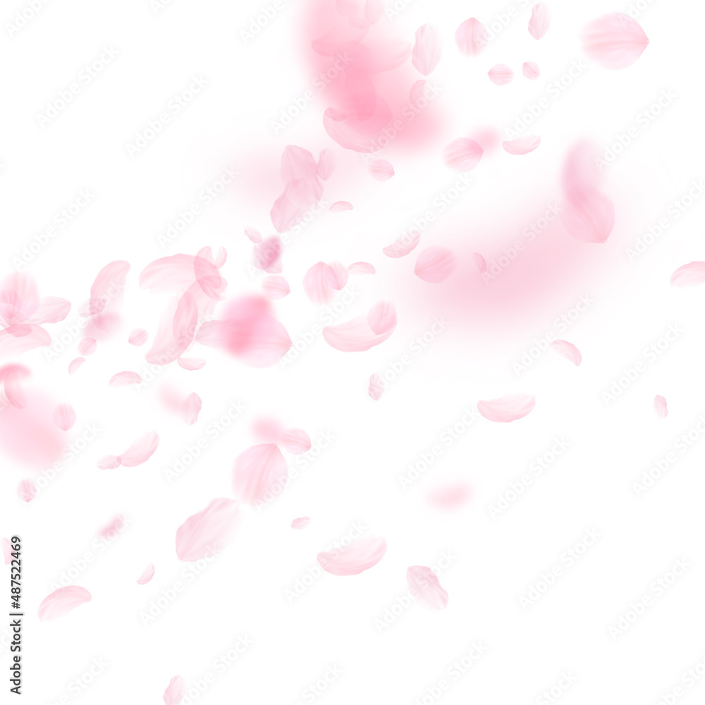 Sakura petals falling down. Romantic pink flowers corner. Flying petals on white square background. Love, romance concept. Wonderful wedding invitation.