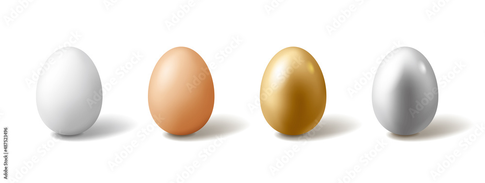 Set of eggs on white background. Set of eggs on white background.
