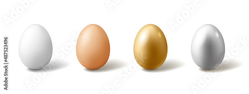 Set of eggs on white background.