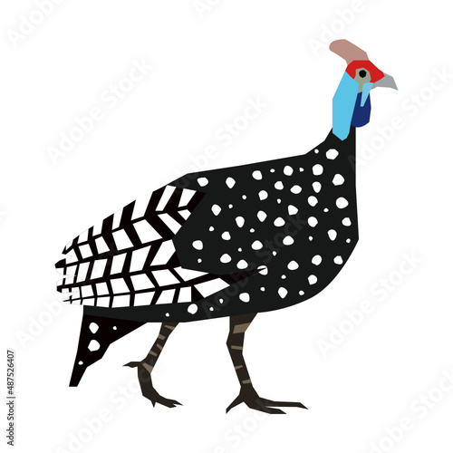 Guineafowl vector illustration in flat color design