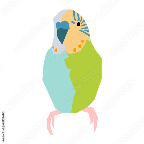 Parakeet vector illustration in flat color design