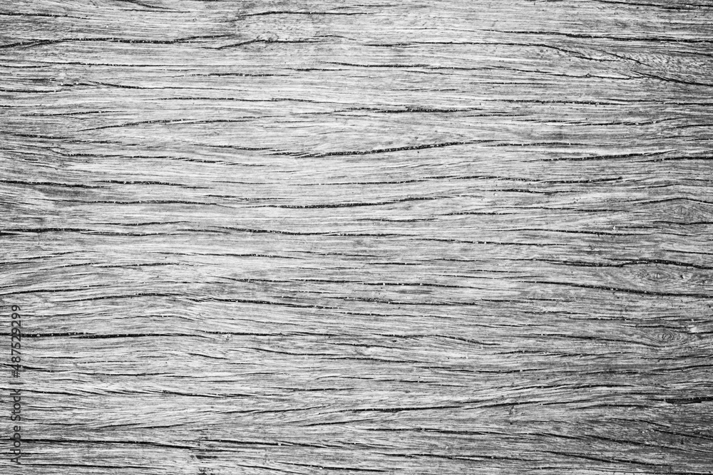 Fototapeta premium old white bright wooden texture, wood background panorama,gray. wood texture with natural feel design figure.