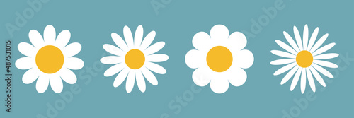 Fototapeta Naklejka Na Ścianę i Meble -  Camomile daisy set line. Four white chamomile icon. Cute round flower plant collection. Love card symbol. Growing concept. Flat design. Isolated. Blue background.