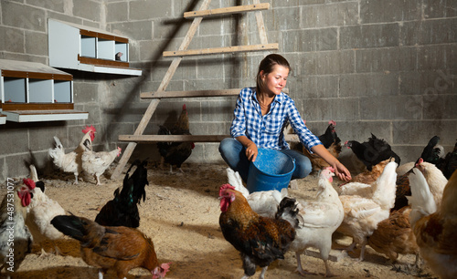 Foto Focused young woman feeding domestic chickens while working in henhouse