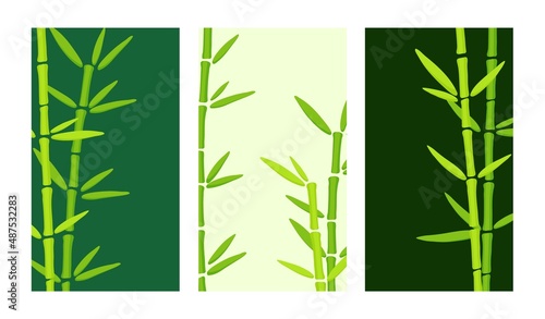 Web banner for social media mobile apps, organic design with bamboo grass. Eco trend. Editable vector templates