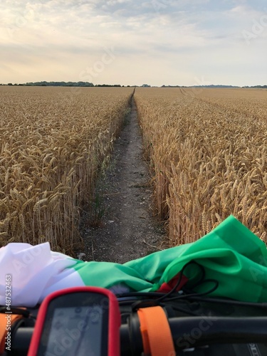 esplorare in bicicletta una strada in mezzo al campo di grano photo