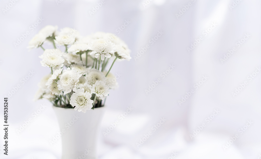 White flowers in white vase on white background with copy space and selective focus. Greeting or invitation card White flowers in white vase on white background with copy space and selective focus. Greeting or invitation card