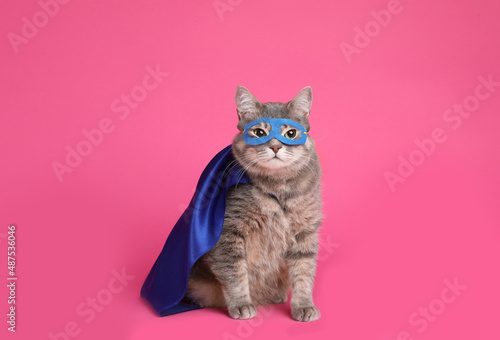 Adorable cat in blue superhero cape and mask on pink background