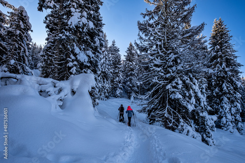 Trentino, panorama invernale