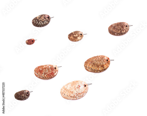 funny little birds made of a green ormer shell, with sketchily drawn legs and beak, 
and an eye made of a seed bead, isolated on white background photo