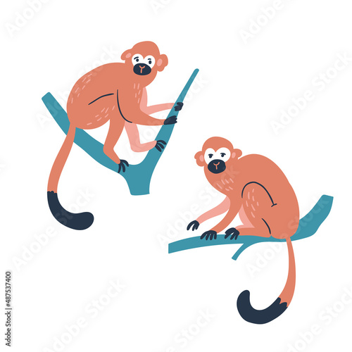 Cute squirrel monkey isolated on the white background. Tropical animal set. Hand-drawn vector illustration.