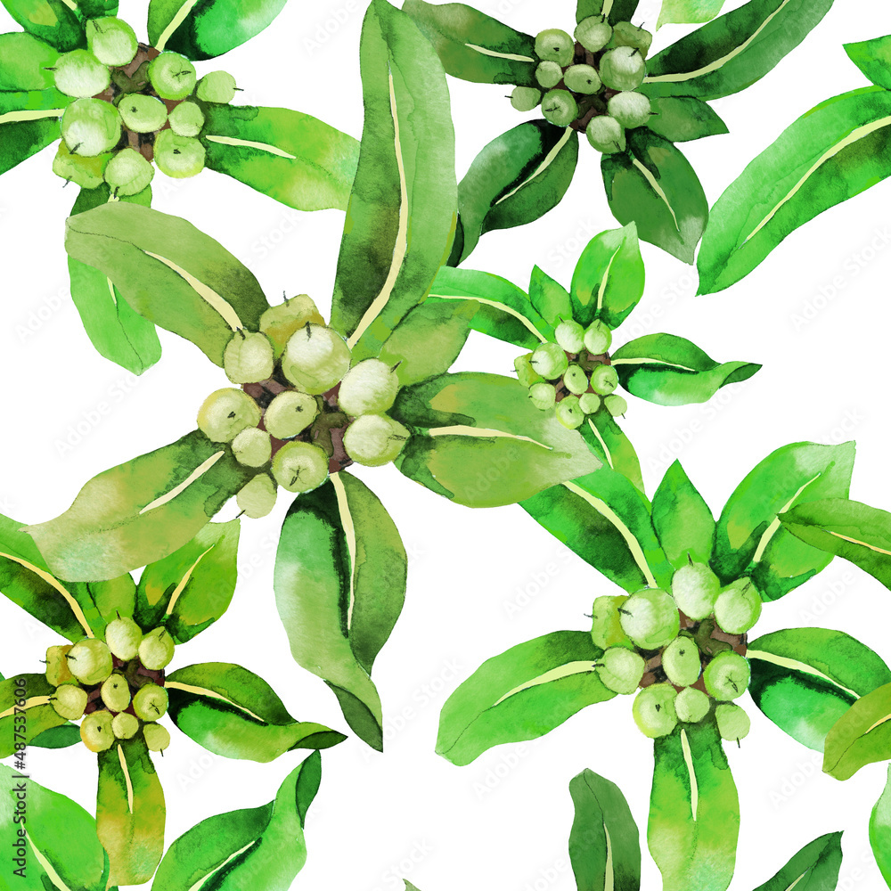 Obraz premium Exotic fruits with leaves green watercolor on white background seamless pattern.