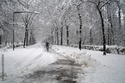 Ciclista percorre viale alberato nel Parco di Monza durante una nevicata invernale photo