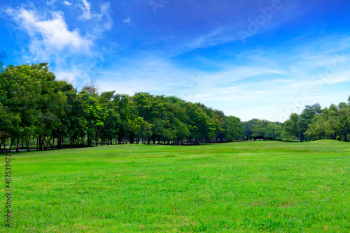 Green grass field with blue sky landscape background. © Bluesky60
