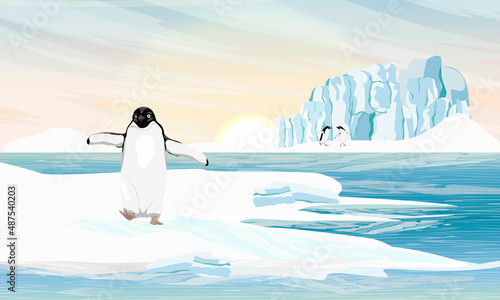 Adelie Penguin walks along the ocean. Birds of the South Poles. Realistic vector landscape