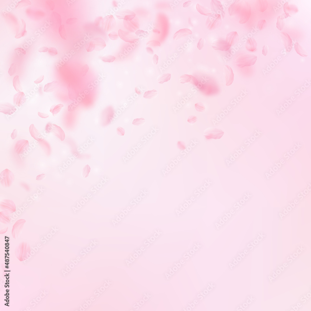Sakura petals falling down. Romantic pink flowers falling rain. Flying petals on pink square background. Love, romance concept. Memorable wedding invitation.