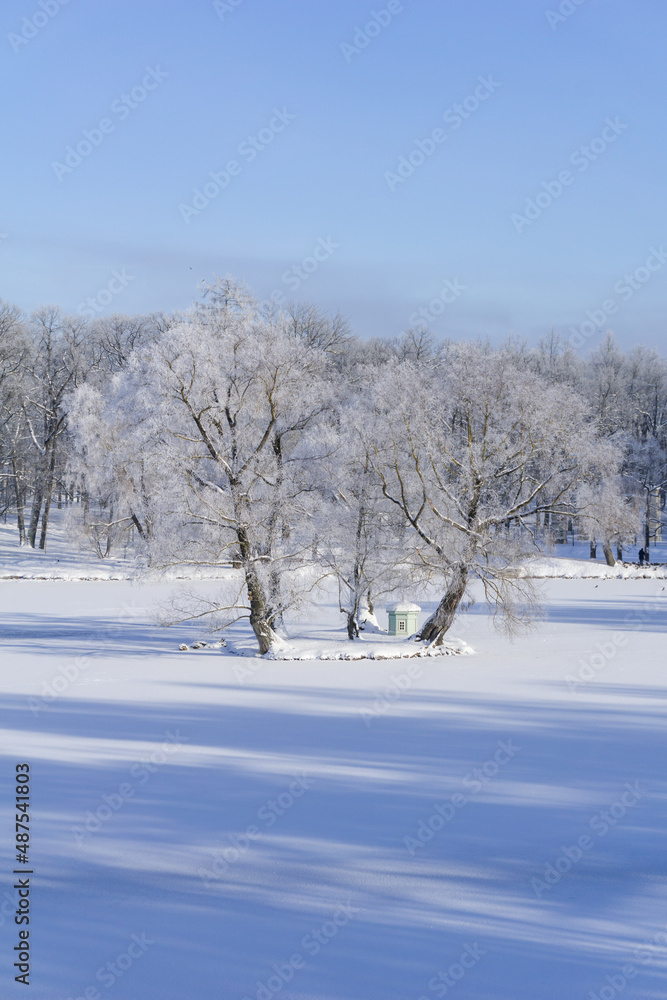 Frosty morning by the lake in the park Frosty morning by the lake in the park