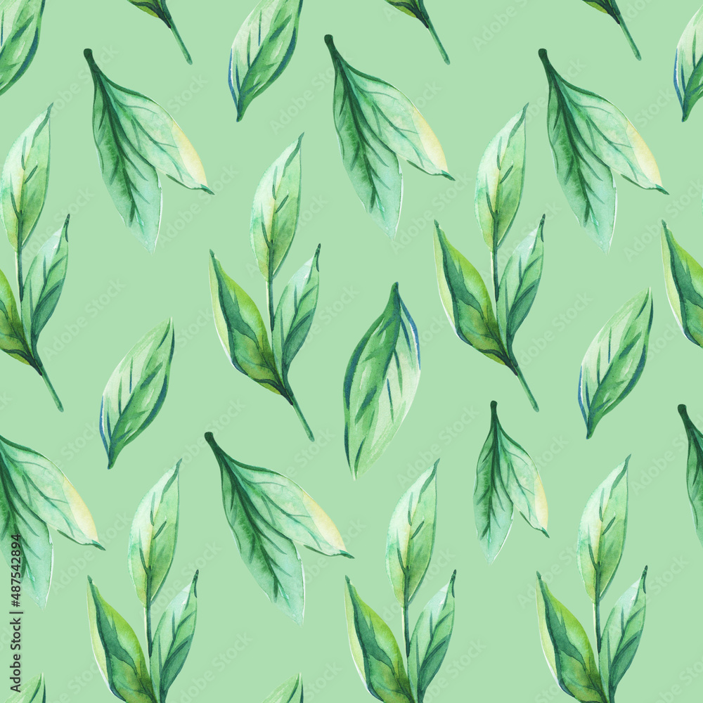 Fototapeta premium Watercolor leaves on green background. Spring,summer herbal print.