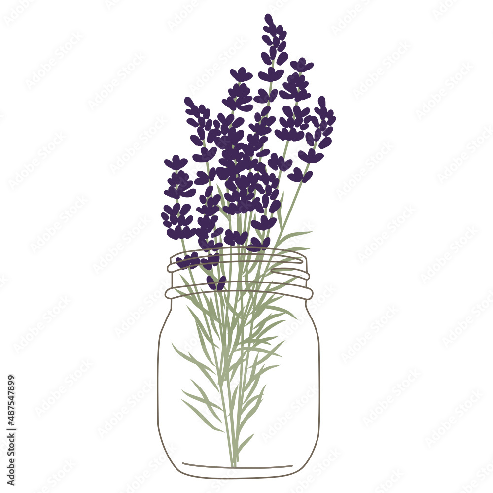Naklejka premium bunch of lavender