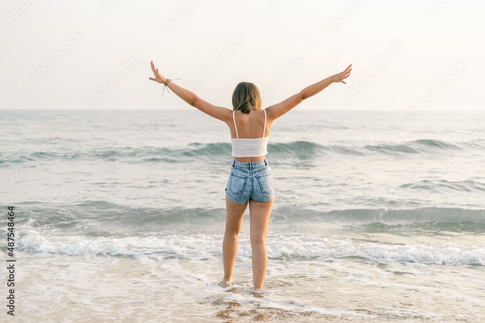 Woman on the shore of the beach from behind Woman on the shore of the beach from behind