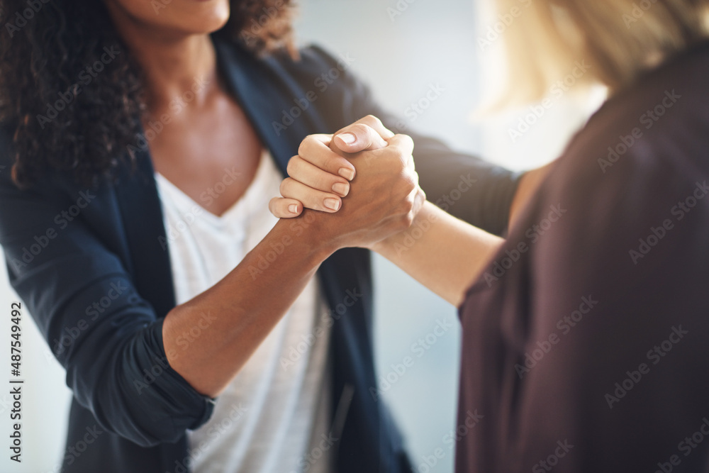 Fototapeta premium Hand in hand in the journey of success. Cropped shot of two businesswomen shaking hands in solidarity at work.