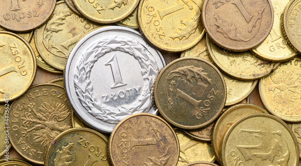 Coin 1 zloty. Polish currency with zloty coins