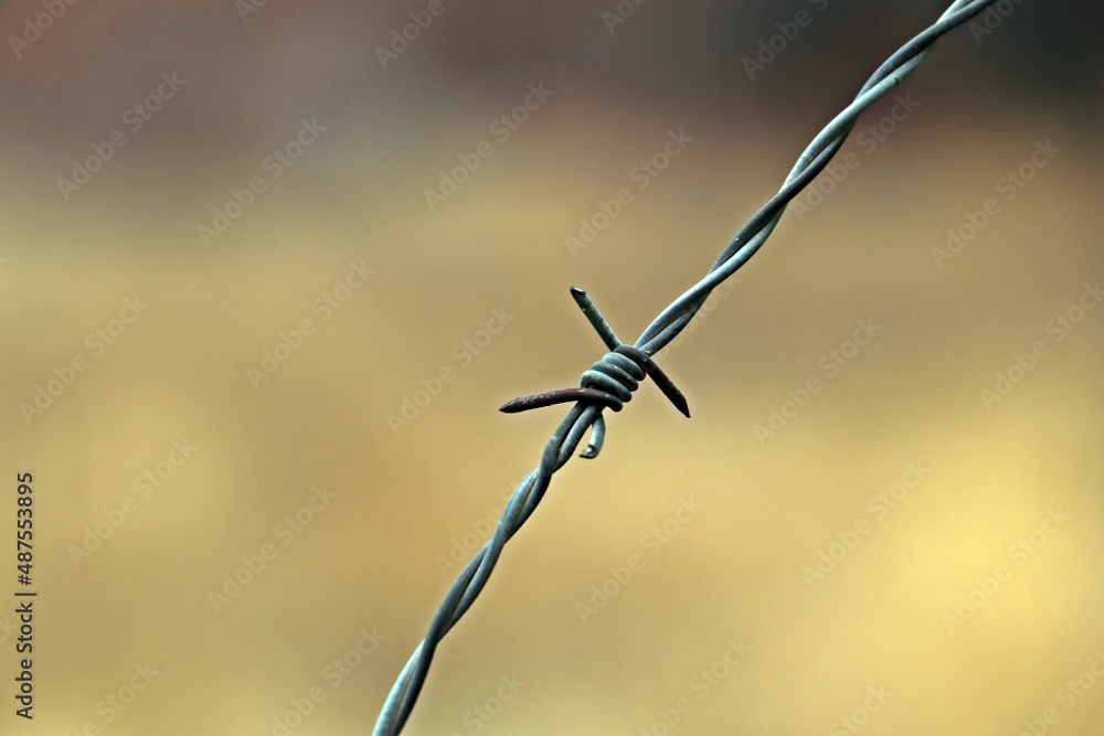 Close-up of barbed wire around the garden to prevent burglars Close-up of barbed wire around the garden to prevent burglars