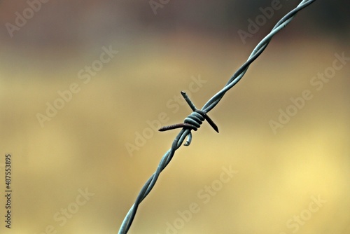 Close-up of barbed wire around the garden to prevent burglars