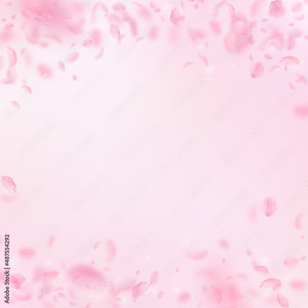 Sakura petals falling down. Romantic pink flowers falling rain. Flying petals on pink square background. Love, romance concept. Marvelous wedding invitation.