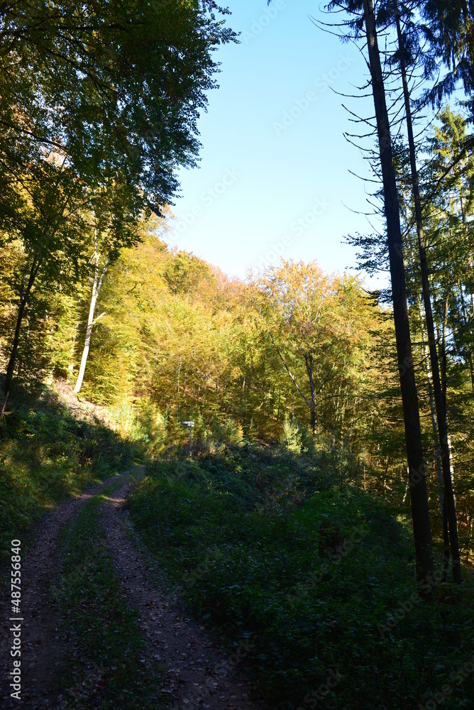 Fototapeta premium Rumbach_014 