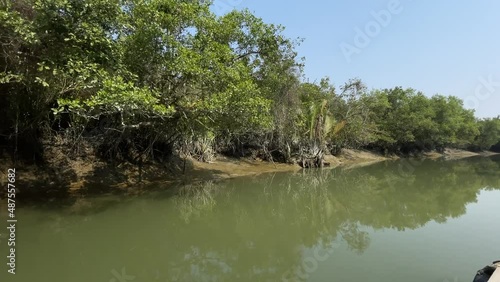 4K footage of Sundarbans (without editing).Sundarbans is the biggest natural mangrove forest in the world, located between Bangladesh and India.this photo was taken from Bangladesh.