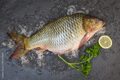 Common carp freshwater fish market, Carp fish, Fresh raw fish on ice for cooked food with lemon on dark background