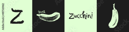 Vector zucchini icon isolated. Hand drawn vegetable squash drawing, cocozelle illustration. Vegetarian restaurant logo. Botanical sign. Vegetable insignia for organic food label. Home cooking courses.